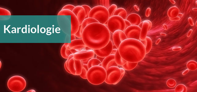 Fachbereichsseite Kardiologie