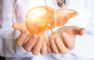 Fit4Liver Fortbildungsreihe